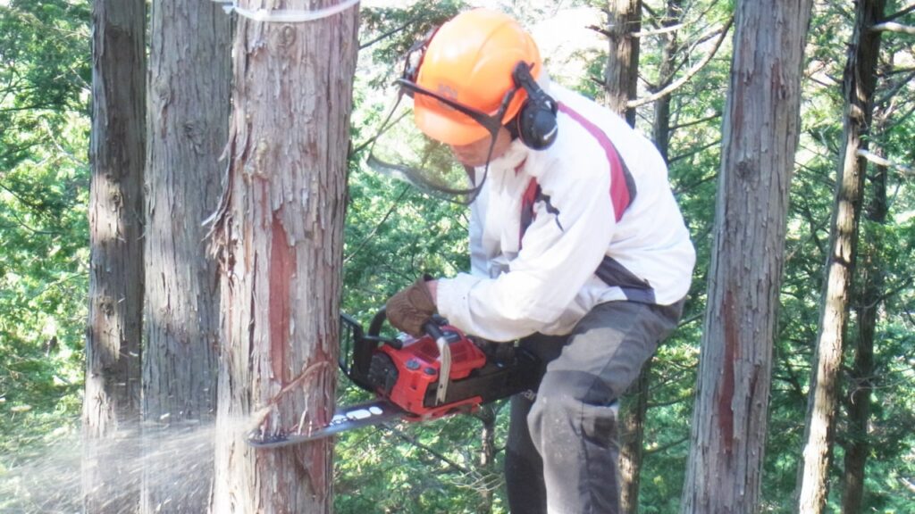 福井県でチェンソーをレンタルするならお任せください！